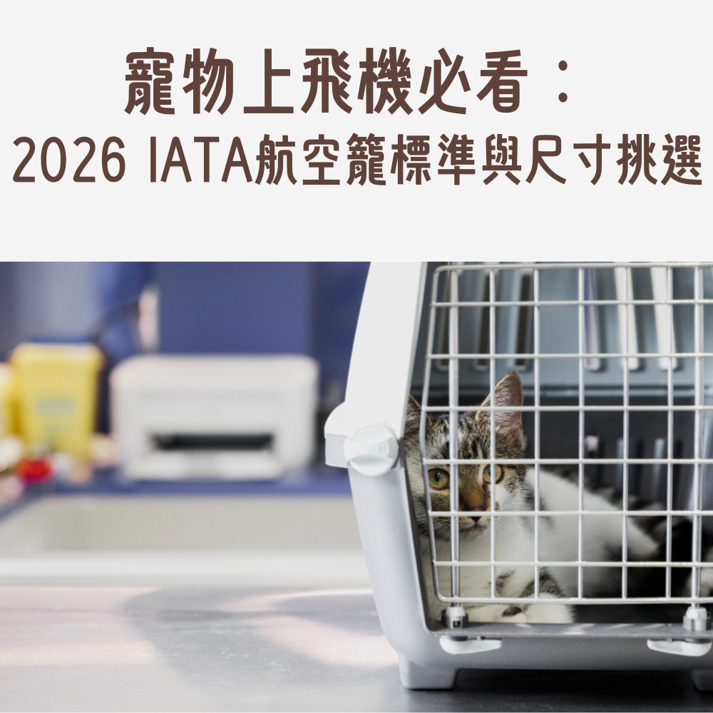 寵物航空籠尺寸測量公式與IATA標準對照圖