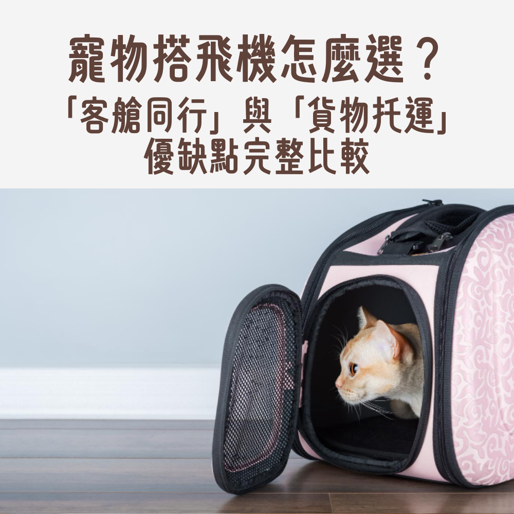 寵物客艙同行與貨物托運的六項比較對照表